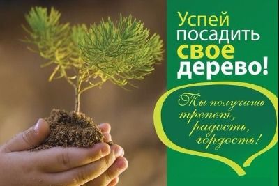 Приглашение принять участие в акции "Посади свое дерево"
