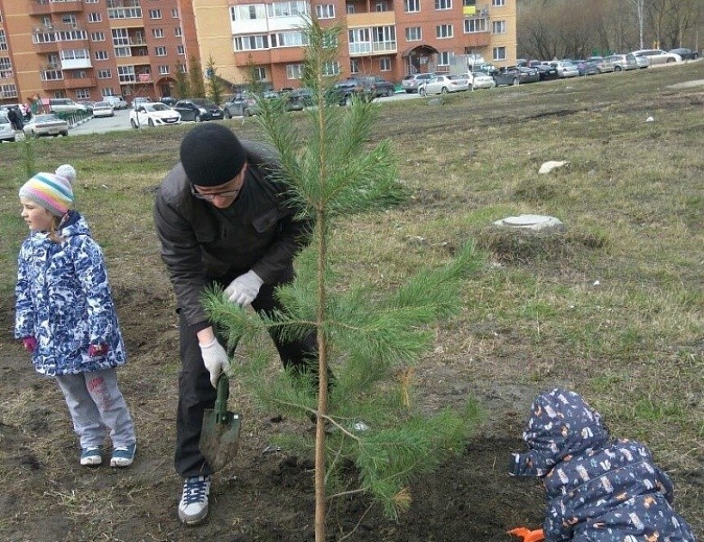 Подведены итоги акции «Посади свое дерево!» 2018 года в Первомайском районе