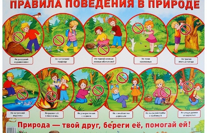 Правила безопасного поведения детей в лесу