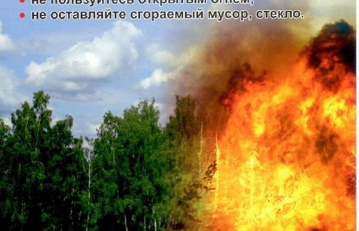Особый противопожарный режим установлен в Новосибирской области до 25 мая.