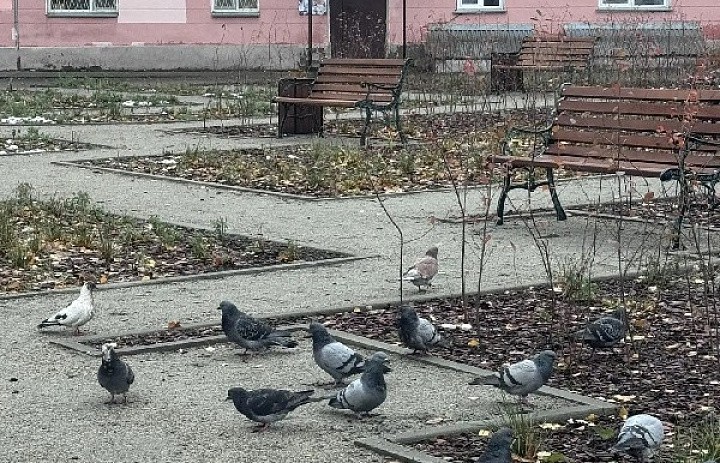 Просим отозваться свидетелей.