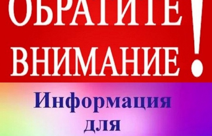 Начался прием заявлений для заключения договоров на размещение и эксплуатацию нестационарных торговых объектов – елочных базаров.