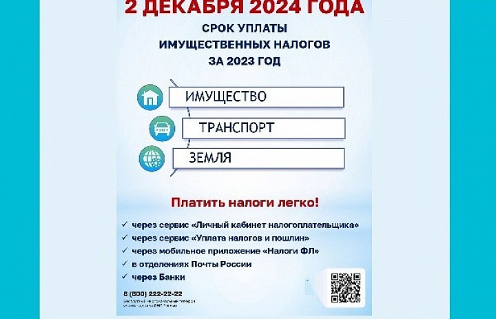 Уплатите налоги не позднее 2 декабря 2024 года!