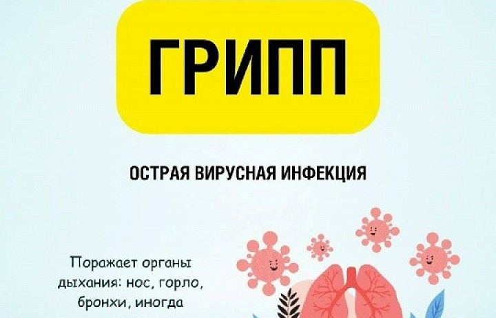 Грипп — это не просто простуда, а опасное инфекционное заболевание, которое может привести к серьёзным осложнениям.